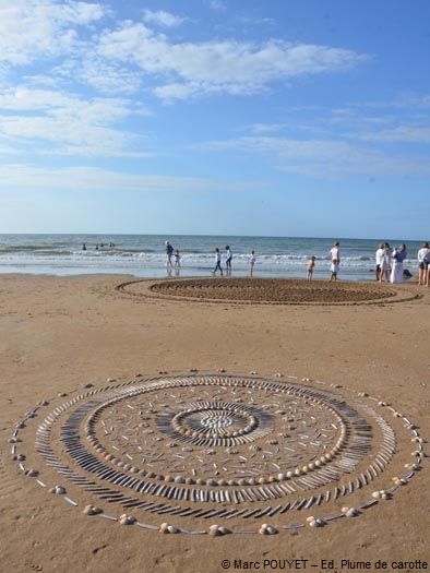 SPIRALE DE COQUILLAGES