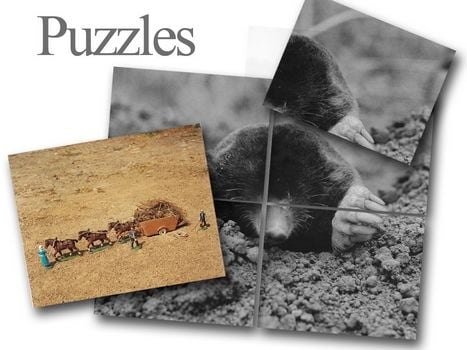 2 Puzzle