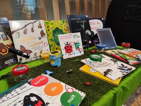 Les petites betes contenu2